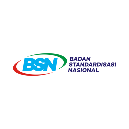 BSN Logo